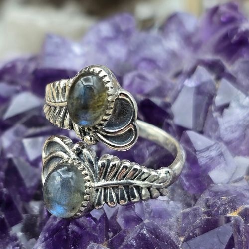 https://cdn.webshopapp.com/shops/259273/files/498802137/file.jpg