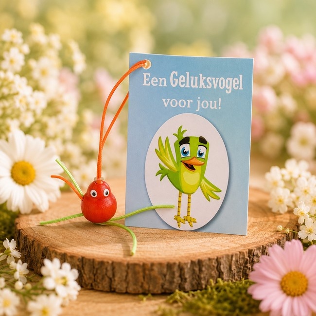 https://cdn.webshopapp.com/shops/259273/files/498849978/file.jpg