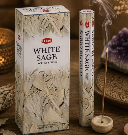 https://cdn.webshopapp.com/shops/259273/files/499951620/file.jpg