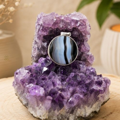https://cdn.webshopapp.com/shops/259273/files/500179007/file.jpg
