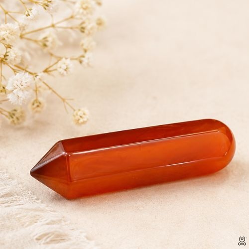 https://cdn.webshopapp.com/shops/259273/files/500534310/file.jpg