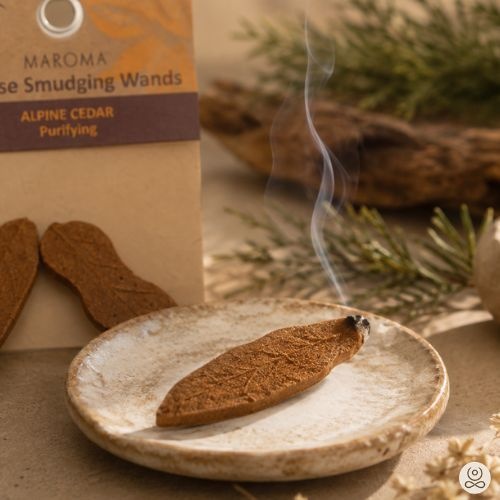 https://cdn.webshopapp.com/shops/259273/files/500993894/file.jpg