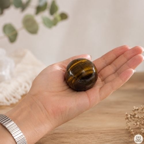 https://cdn.webshopapp.com/shops/259273/files/501398297/file.jpg