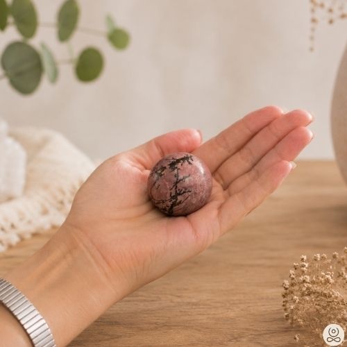 https://cdn.webshopapp.com/shops/259273/files/501399242/file.jpg