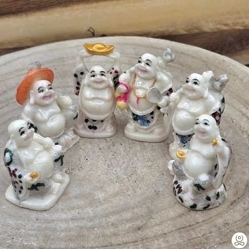 https://cdn.webshopapp.com/shops/259273/files/501409300/file.jpg