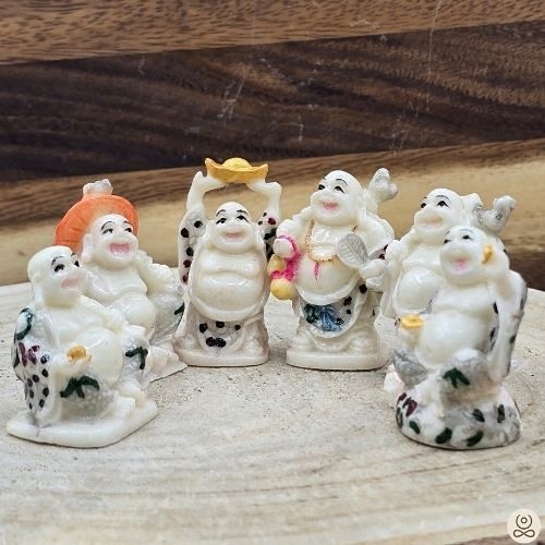 https://cdn.webshopapp.com/shops/259273/files/501409459/file.jpg
