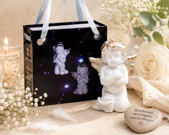 https://cdn.webshopapp.com/shops/259273/files/501437398/file.jpg