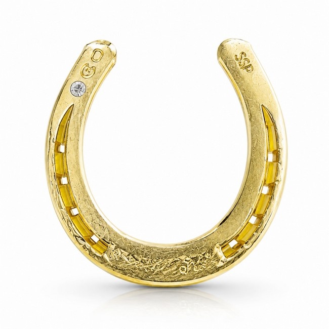 https://cdn.webshopapp.com/shops/259273/files/501454617/file.jpg