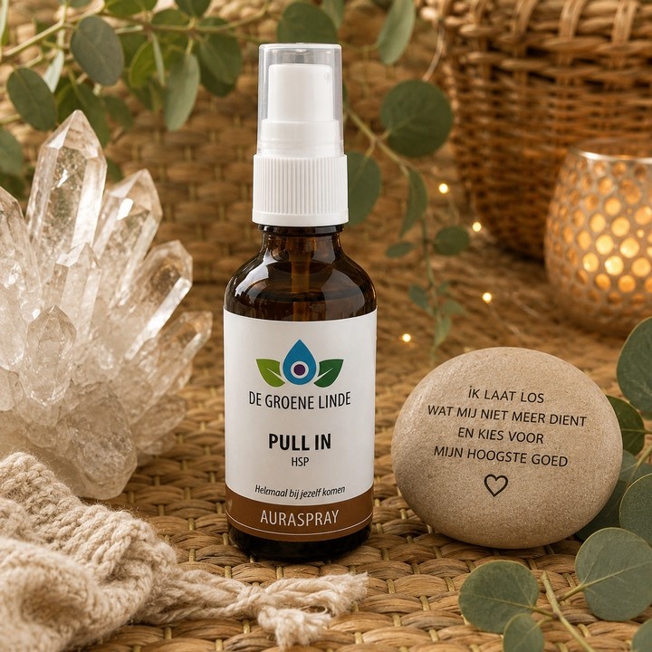 https://cdn.webshopapp.com/shops/259273/files/501493205/file.jpg