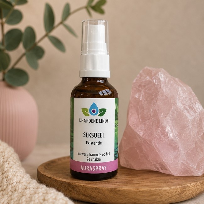https://cdn.webshopapp.com/shops/259273/files/501494458/file.jpg