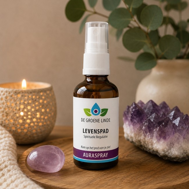 https://cdn.webshopapp.com/shops/259273/files/501494701/file.jpg