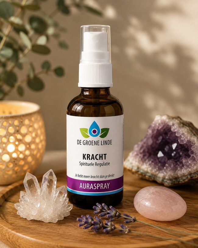 https://cdn.webshopapp.com/shops/259273/files/501553007/file.jpg