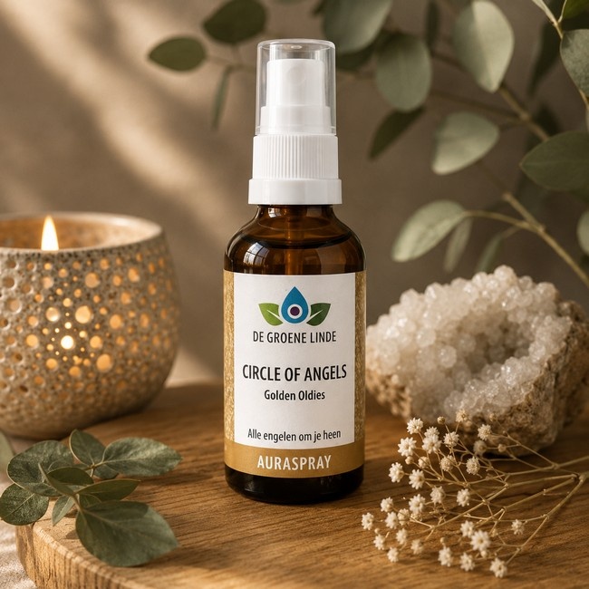 https://cdn.webshopapp.com/shops/259273/files/501553205/file.jpg