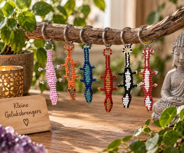 https://cdn.webshopapp.com/shops/259273/files/502551191/file.jpg