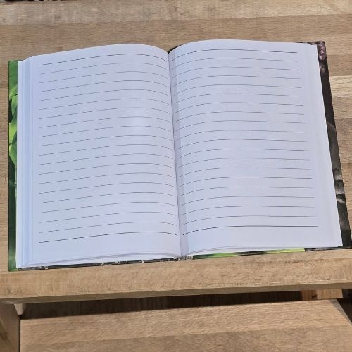 https://cdn.webshopapp.com/shops/259273/files/502736258/file.jpg