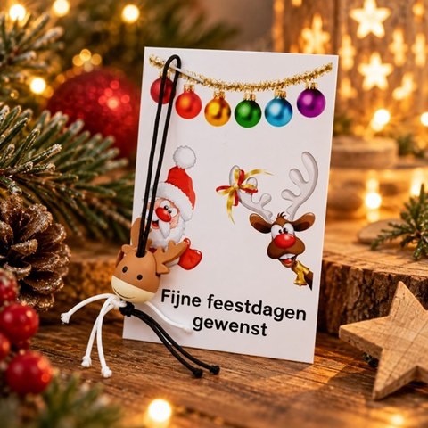 https://cdn.webshopapp.com/shops/259273/files/502898537/file.jpg