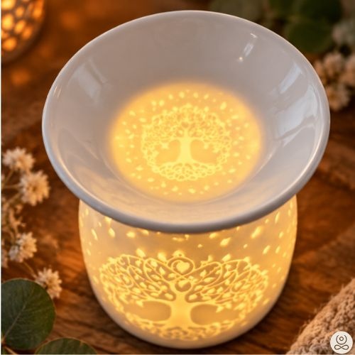 https://cdn.webshopapp.com/shops/259273/files/502916773/file.jpg