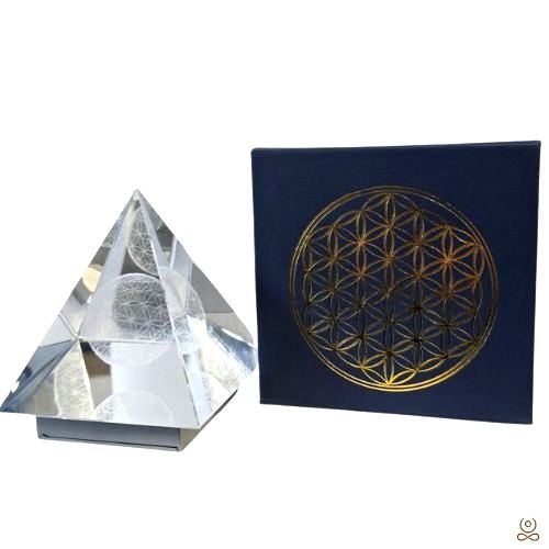 https://cdn.webshopapp.com/shops/259273/files/503001039/file.jpg
