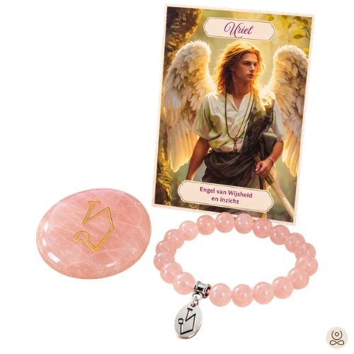 https://cdn.webshopapp.com/shops/259273/files/503151588/file.jpg