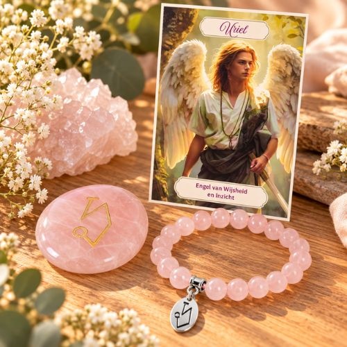 https://cdn.webshopapp.com/shops/259273/files/503151609/file.jpg
