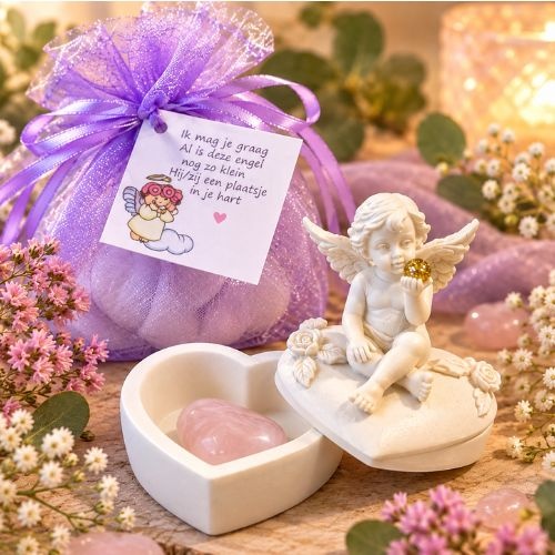 https://cdn.webshopapp.com/shops/259273/files/504222565/file.jpg