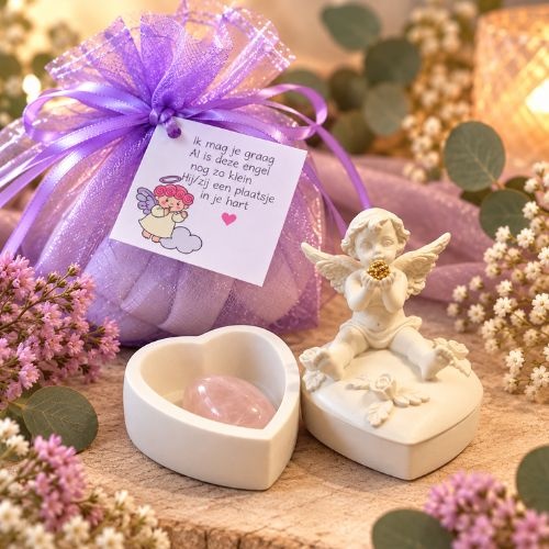 https://cdn.webshopapp.com/shops/259273/files/504222603/file.jpg