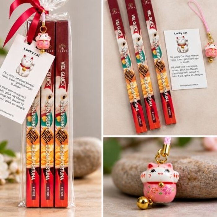 Lucky Cat wierook cadeaupakket met 24 wierookstokjes, gelukskatje en kaartje