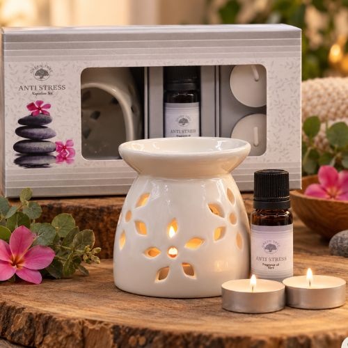 https://cdn.webshopapp.com/shops/259273/files/504681951/file.jpg