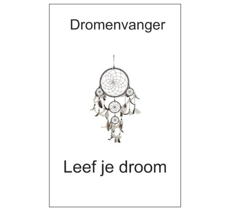 Droomvanger hart 5 cm met kaartje