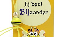Kaartje- jij bent bijzonder met kleine bij - Uitdeelcadeautjes.nl