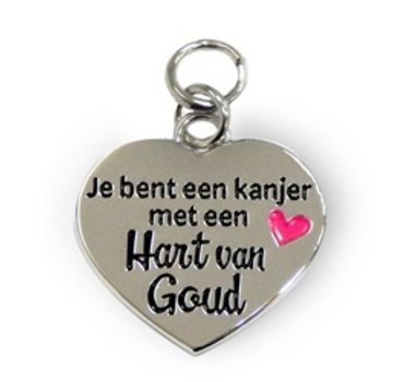 Bedeltje hart van goud