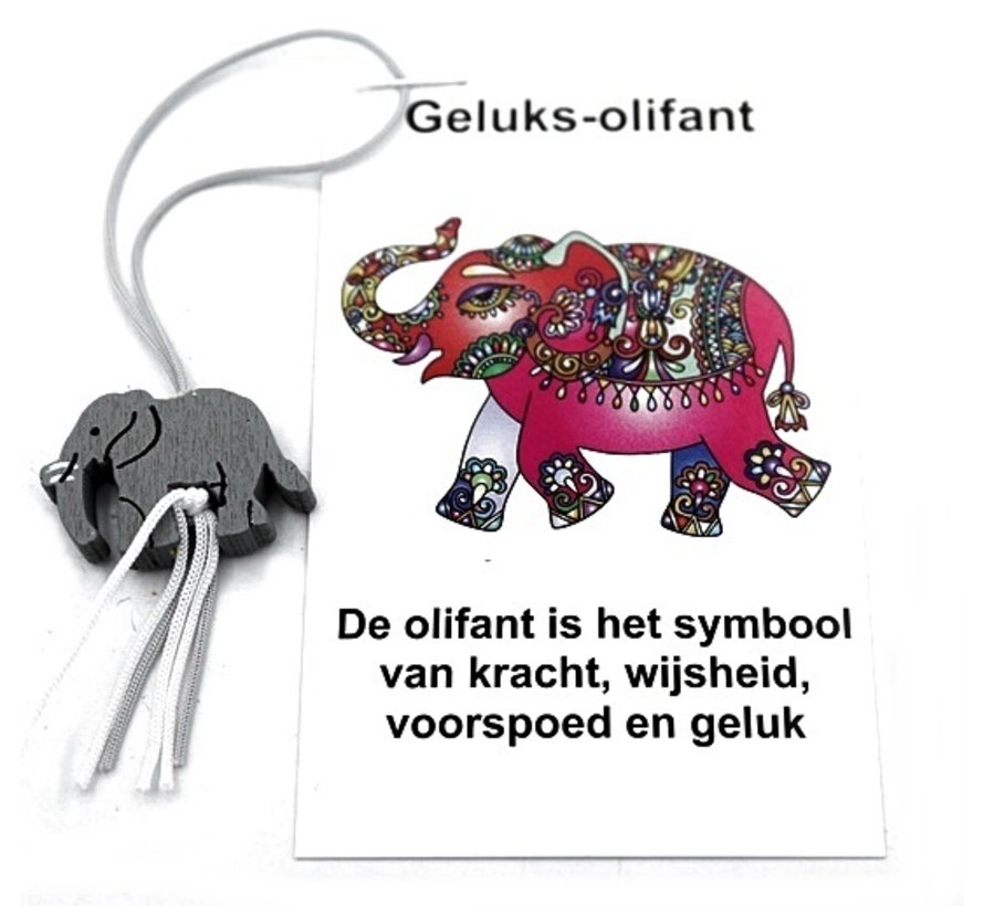 Geluksolifantje op kaartje