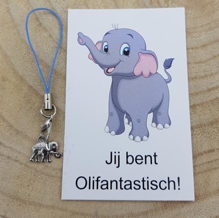 https://cdn.webshopapp.com/shops/259274/files/411874048/file.jpg