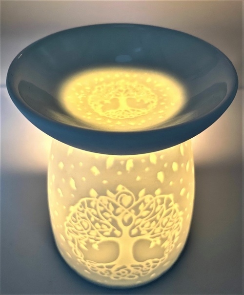 https://cdn.webshopapp.com/shops/259274/files/418133121/file.jpg