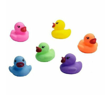 Gekleurde Badeendjes 5 stuks