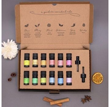 Aromatherapie Etherische Olie Set