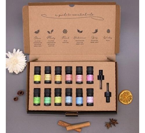 Aromatherapie Etherische Olie Set