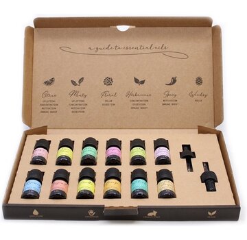 Aromatherapie Etherische Olie Set - De Top 12