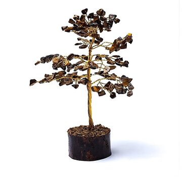 Edelsteenboom tijgeroog