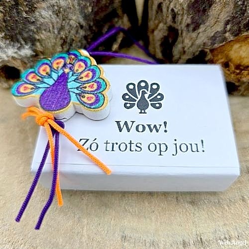 https://cdn.webshopapp.com/shops/259274/files/460989166/file.jpg