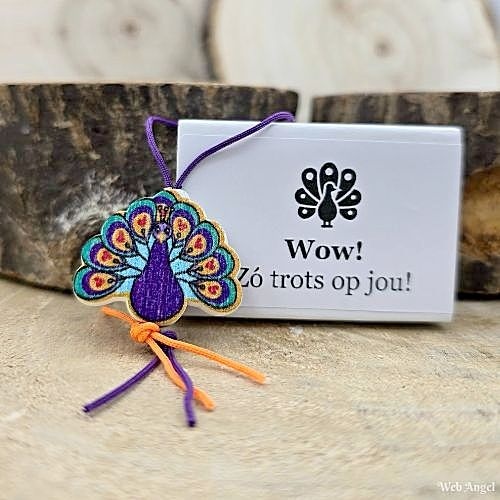 https://cdn.webshopapp.com/shops/259274/files/460989167/file.jpg