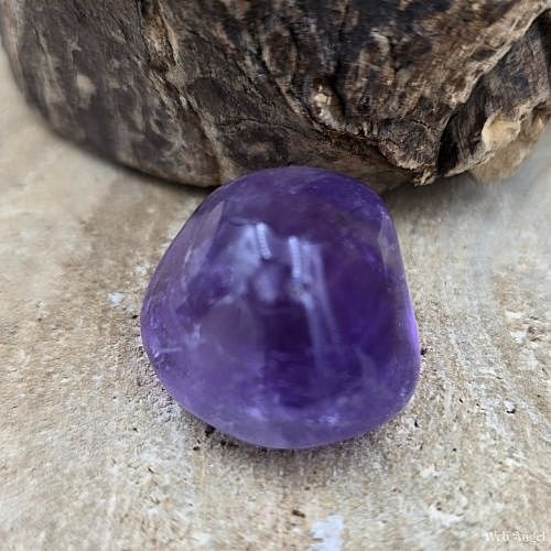 https://cdn.webshopapp.com/shops/259274/files/462851367/file.jpg