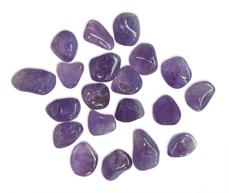 https://cdn.webshopapp.com/shops/259274/files/462851370/file.jpg