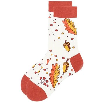 Sokken herfst