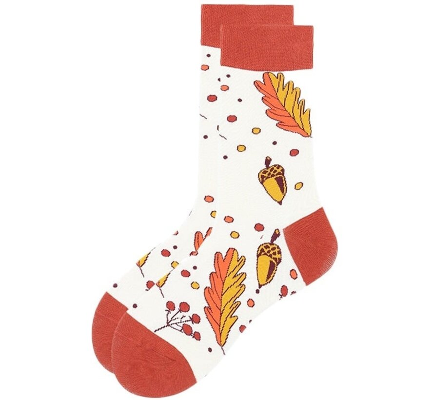 Sokken herfst