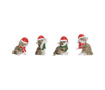 Kat met kerstmuts