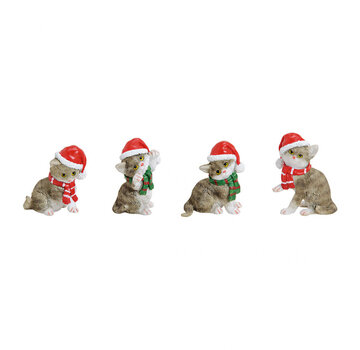 Kat met kerstmuts