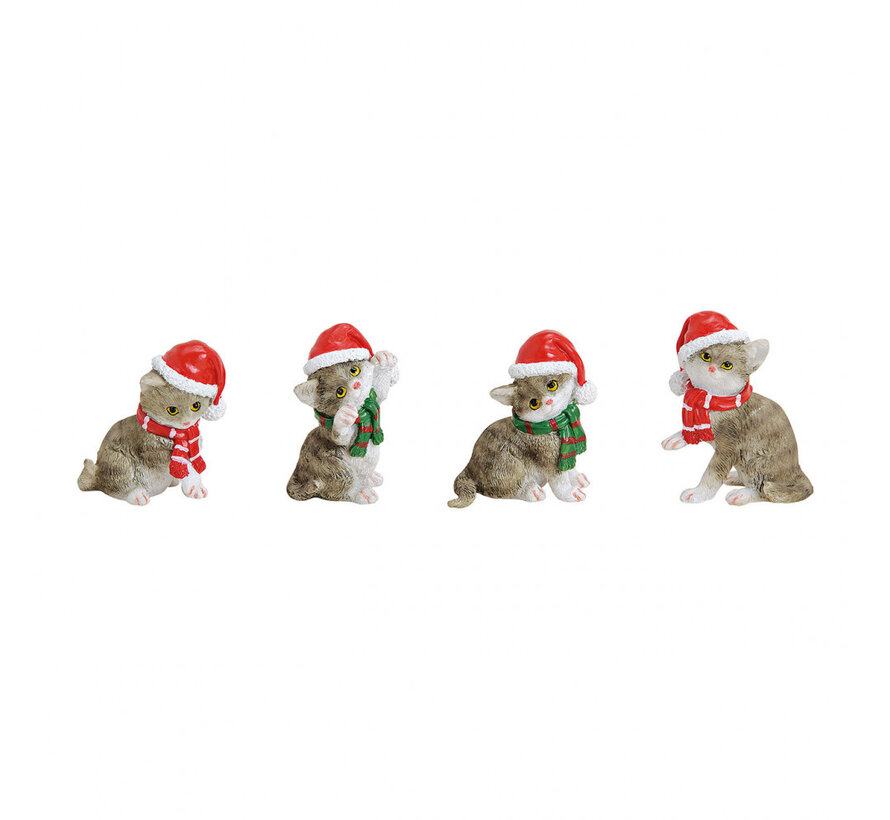Kat met kerstmuts