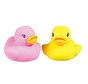 Gum eend 10 stuks