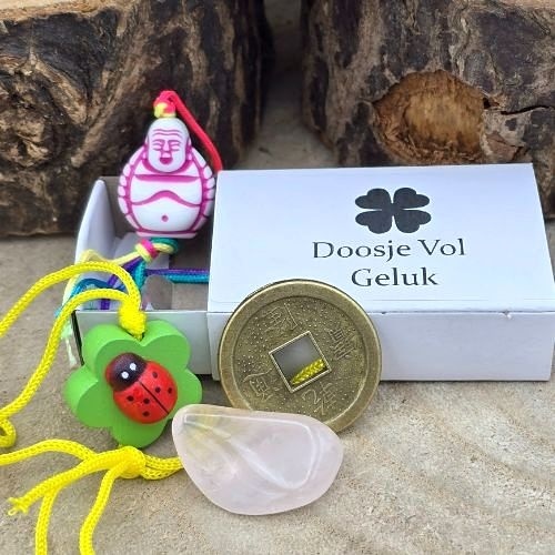 https://cdn.webshopapp.com/shops/259274/files/474073483/file.jpg